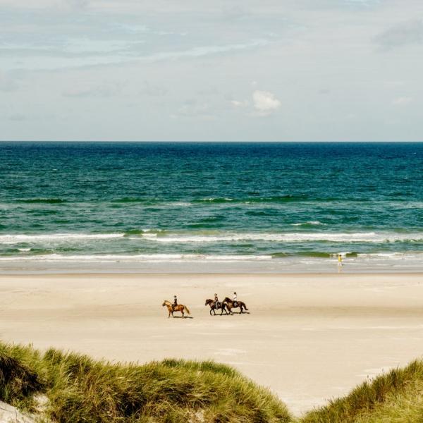 Reiten am Blokhus Strand in Nordjütland an der Dänischen Nordsee