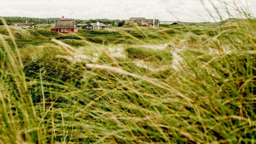 Ferienhäuser in Løkken