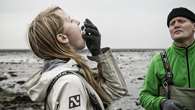 Personen auf einer Austernsafari im Nationalpark Wattenmeer an der Süddänischen Nordsee