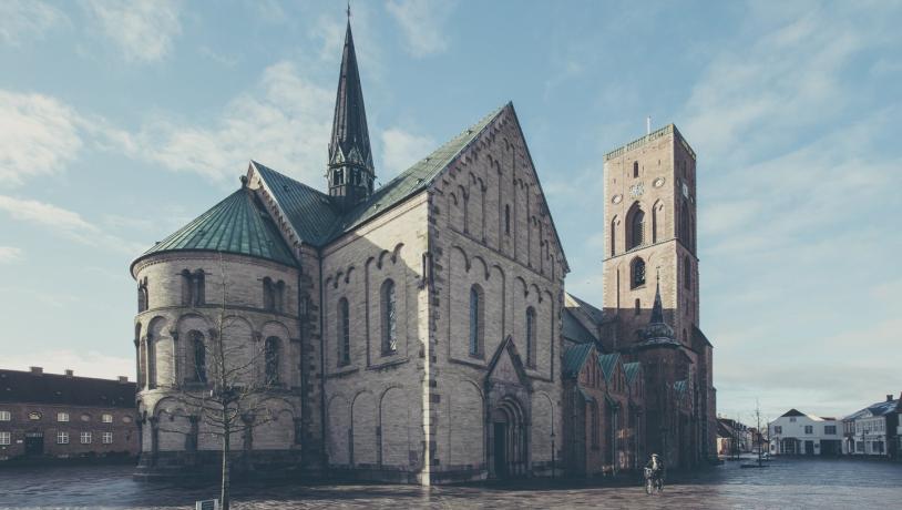 Bild von Ribe Dom