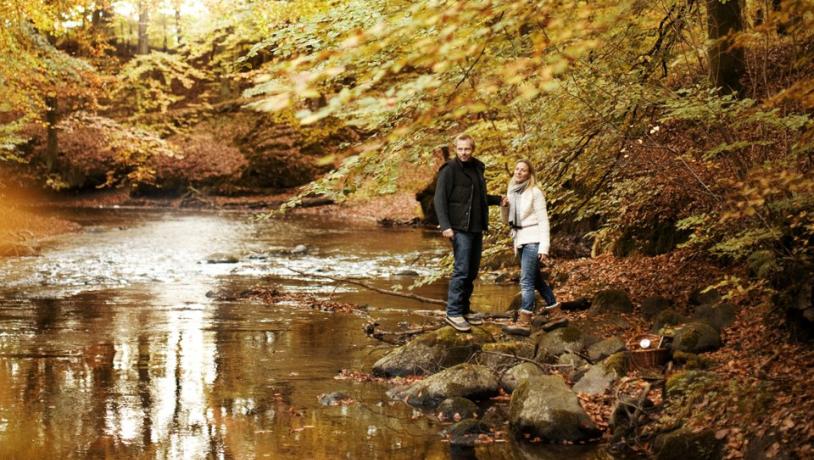 Een stel geniet van een herfstwandeling door het bos in Noord-Jutland in Denemarken