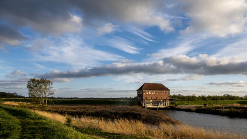 Picture of Tøndermarsken with a house in the background