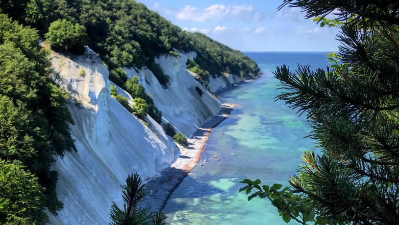 Das Bild zeigt das malerische Møns Klint mit Blick auf das Meer, die Klippen und den Wald. 