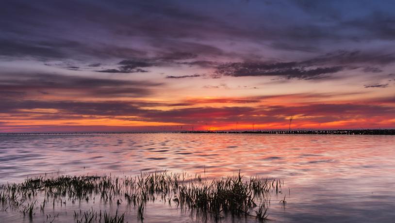 Ein Foto vom Wasser bei Mandø