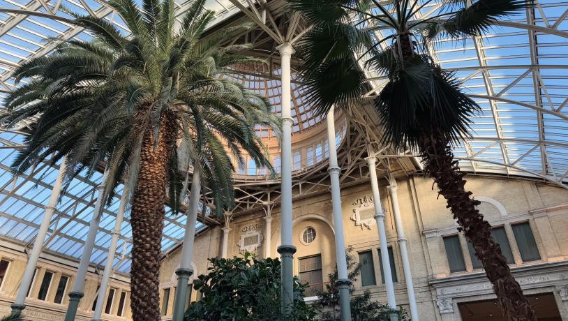 The palm trees inside Glyptoteket museum