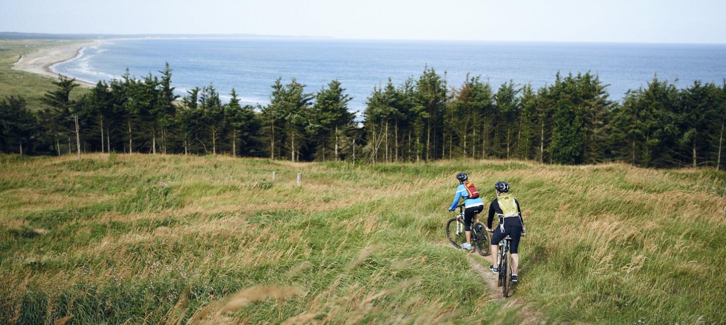 Biking North Jutland