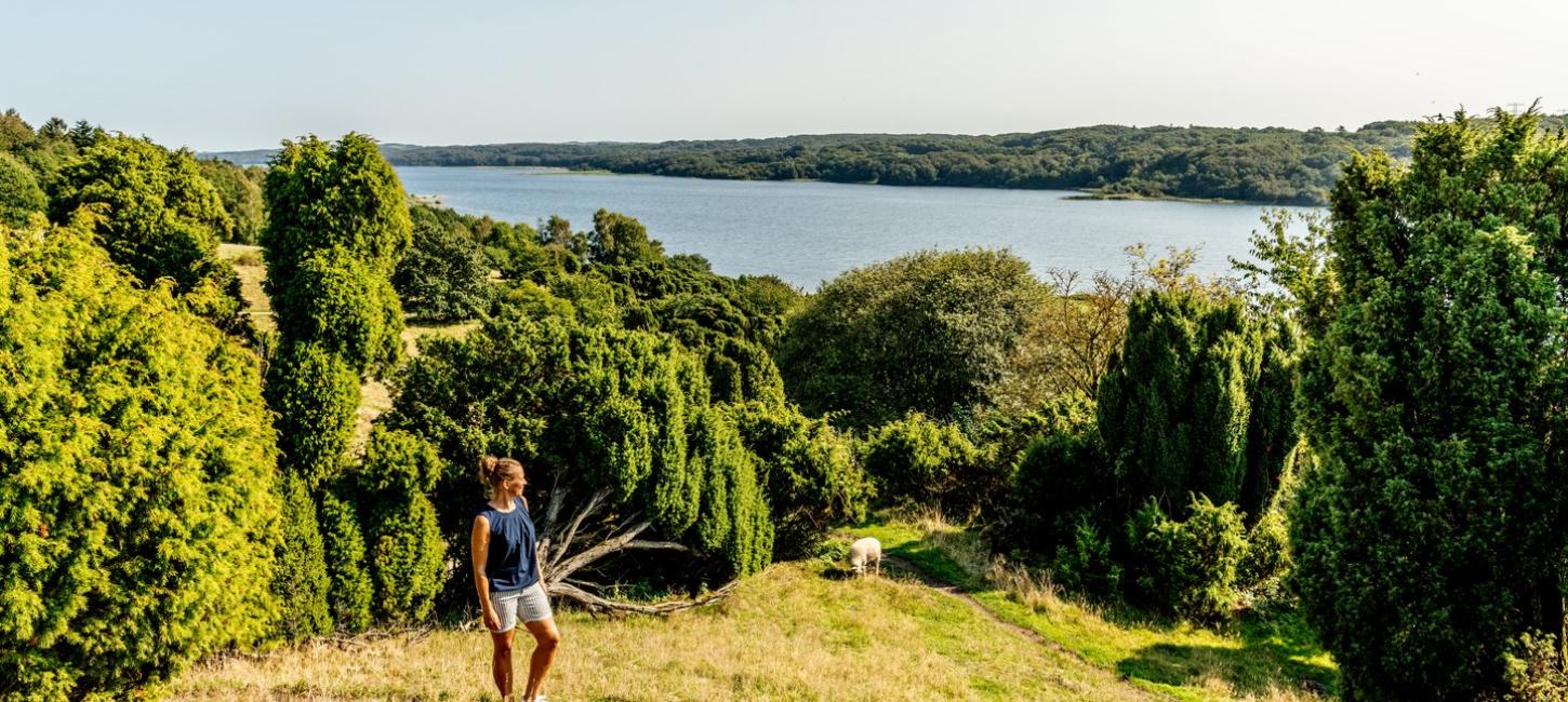 Kvinne på tur i Bramslev Bakker, Mariager Fjord, Nordjylland