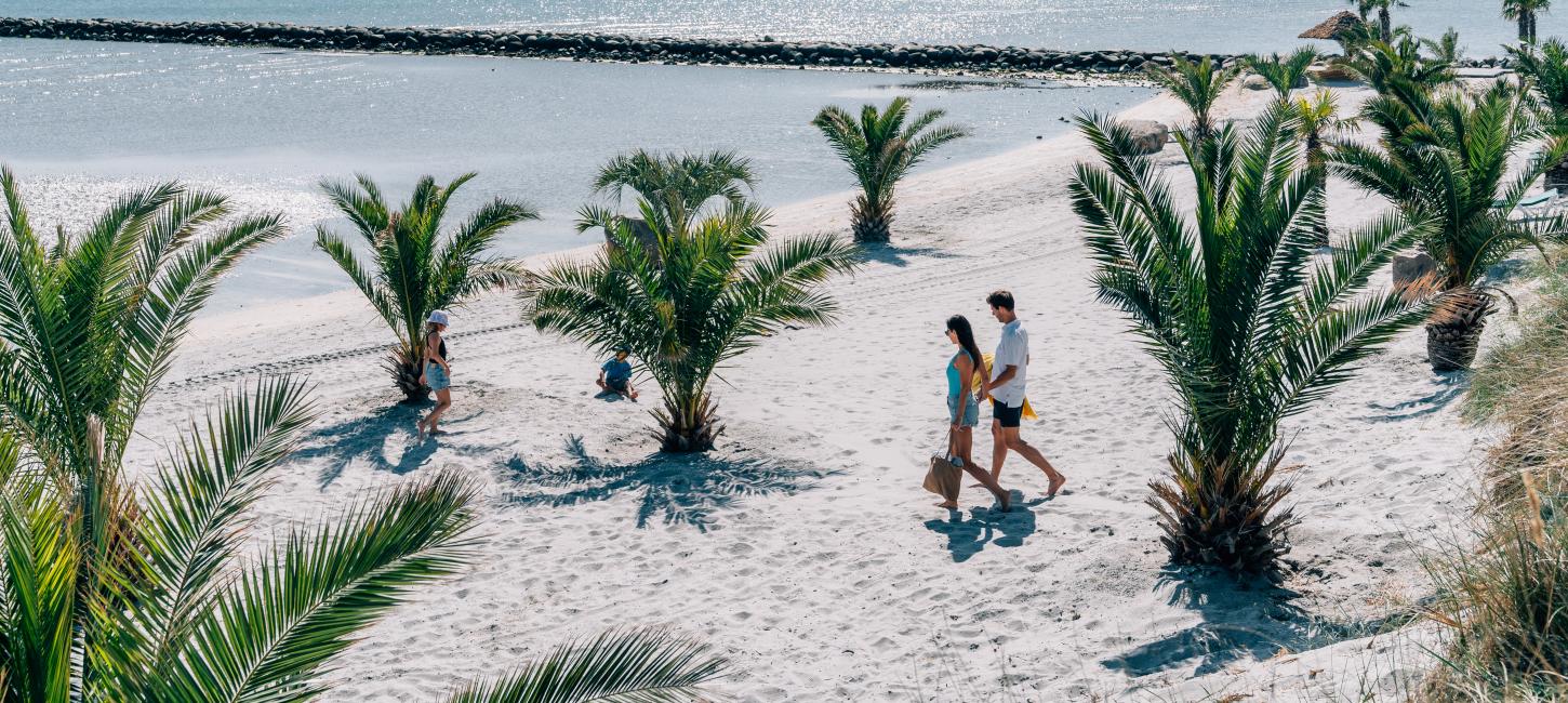 Bild von einer Familie am Palmenstrand mit dem Meer im Hintergrund
