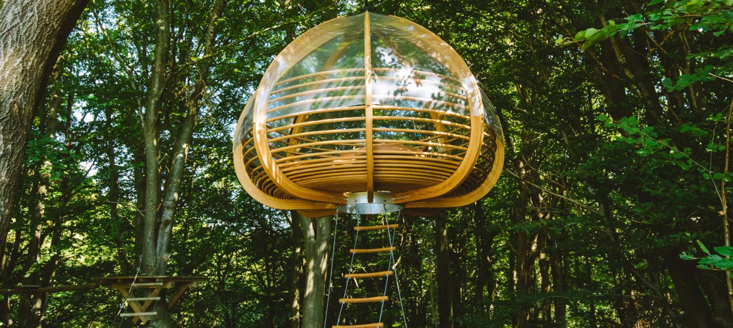 Ein Bild von Reden, The Nest im Kletterpark Highpark mitten im Wald