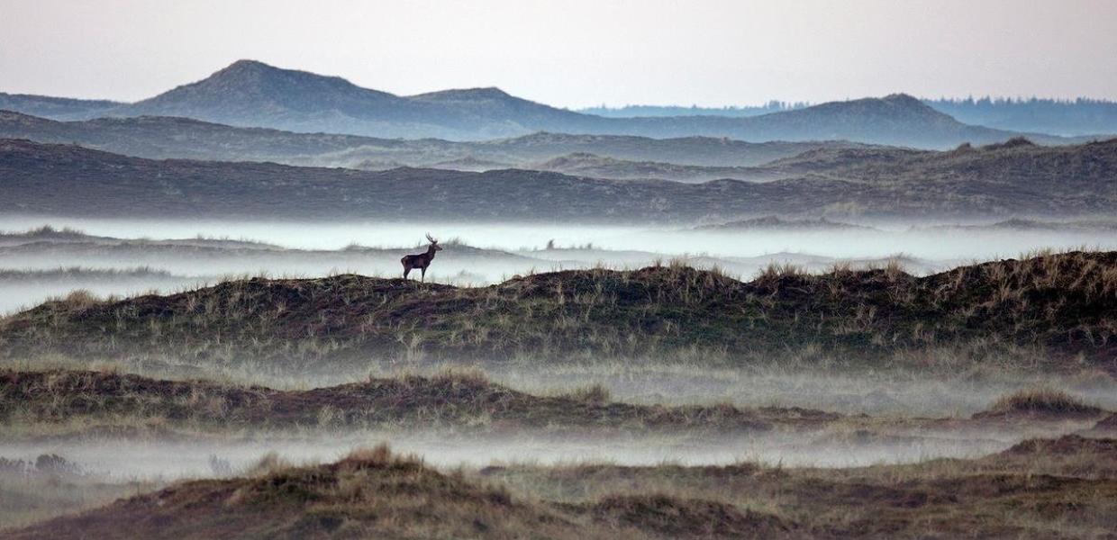 Thy National Park in North Jutland