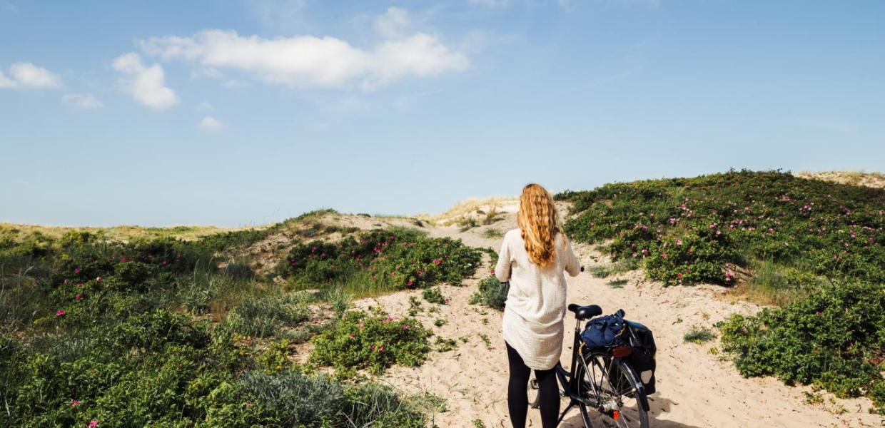 Fahrradfahrerin auf dem Nordküstenradweg in Nordseeland an der Dänischen Ostsee