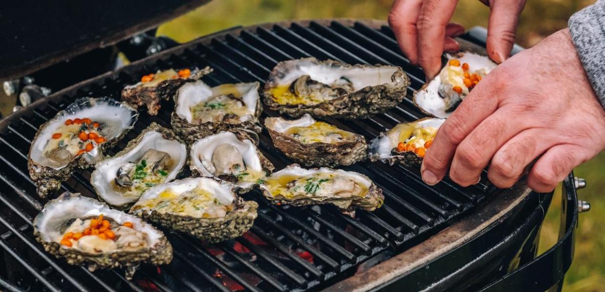 Oysters by the Wadden Sea