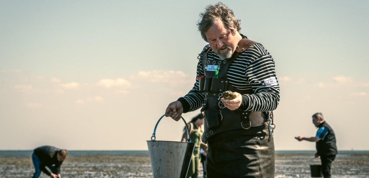 oyster safari, Jesper the oyster king, Wadden Sea