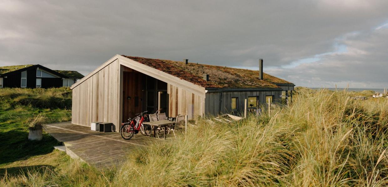 Ferienhaus in der Düne an der dänischen Westküste