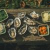 Oyster plate at Vadehavscentret, Wadden Sea 