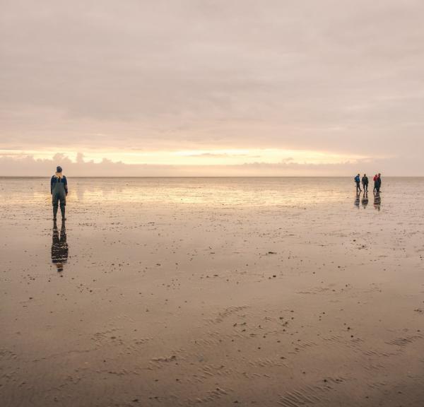 The Wadden Sea National Park, Denmark