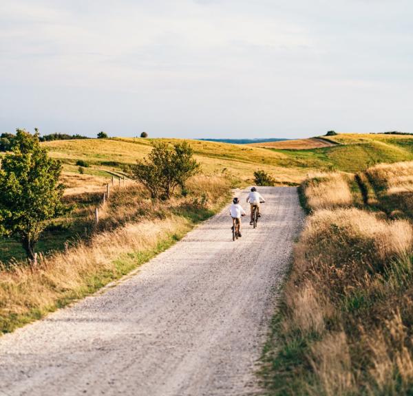 Kids biking in Mols Bjerge National Park, Djursland