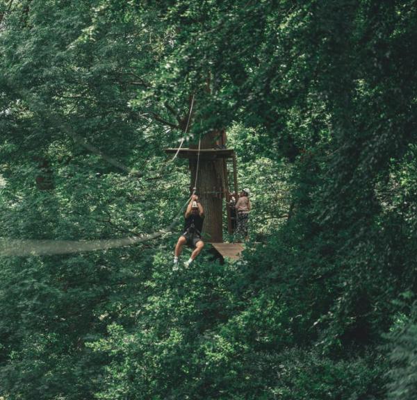 Man swinging through the trees at Gavnø Go Fly