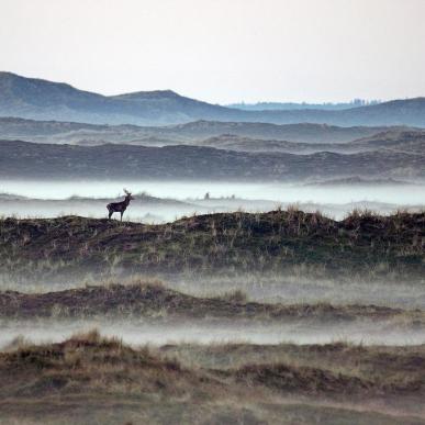 Thy National Park in North Jutland