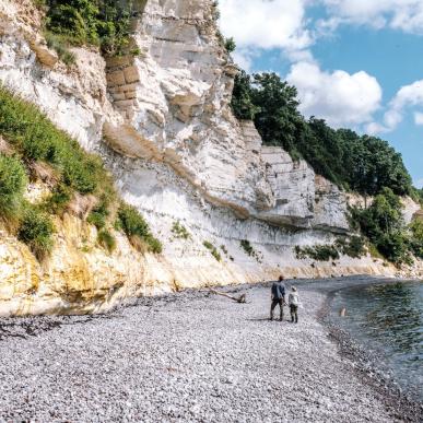 Far og sønn går på stranden i Stevn Klint