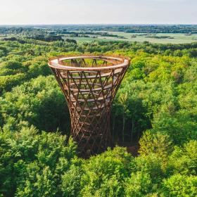 A tower standing in a forest 